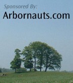 Arbornauts