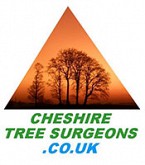Cheshire tree advert